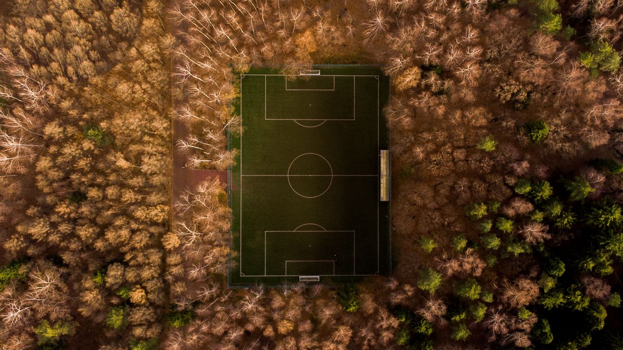 Wallpaper football field, playground, aerial view, trees, overview