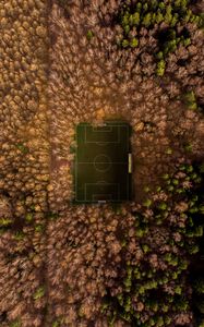 Preview wallpaper football field, playground, aerial view, trees, overview