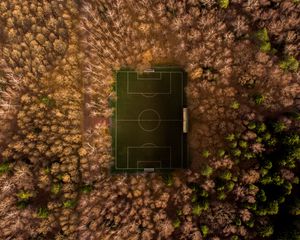 Preview wallpaper football field, playground, aerial view, trees, overview