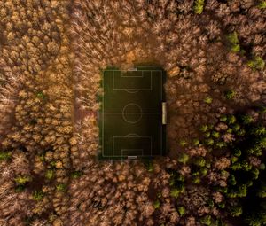Preview wallpaper football field, playground, aerial view, trees, overview