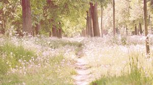 Preview wallpaper footpath, flowers, trees, light