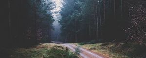 Preview wallpaper footpath, forest, trees