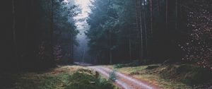 Preview wallpaper footpath, forest, trees