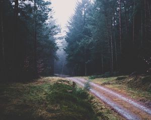 Preview wallpaper footpath, forest, trees