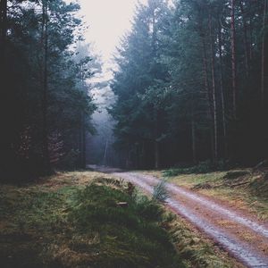 Preview wallpaper footpath, forest, trees