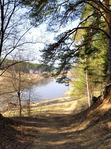 Preview wallpaper footpath, forest, trees, grass, river