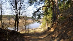 Preview wallpaper footpath, forest, trees, grass, river