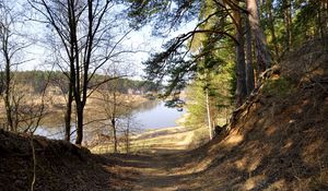 Preview wallpaper footpath, forest, trees, grass, river