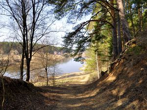 Preview wallpaper footpath, forest, trees, grass, river