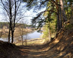 Preview wallpaper footpath, forest, trees, grass, river