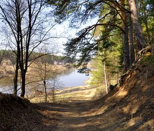 Preview wallpaper footpath, forest, trees, grass, river