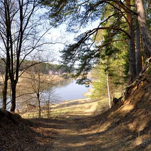 Preview wallpaper footpath, forest, trees, grass, river