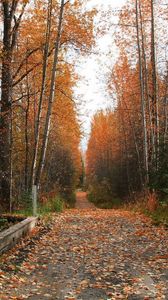 Preview wallpaper footpath, road, autumn, trees