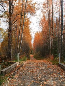 Preview wallpaper footpath, road, autumn, trees