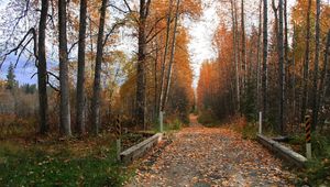 Preview wallpaper footpath, road, autumn, trees