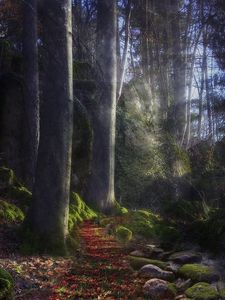 Preview wallpaper footpath, wood, beams, sun, light, stones, path, mysterious, moss