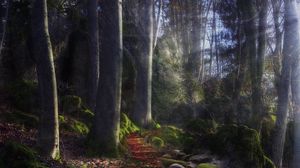 Preview wallpaper footpath, wood, beams, sun, light, stones, path, mysterious, moss
