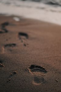 Preview wallpaper footprint, sand, beach