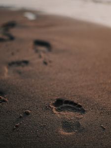 Preview wallpaper footprint, sand, beach