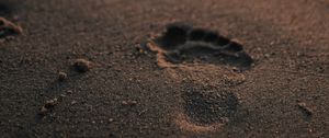 Preview wallpaper footprint, sand, beach