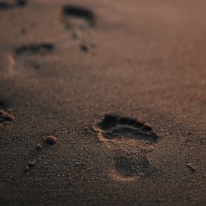 Preview wallpaper footprint, sand, beach