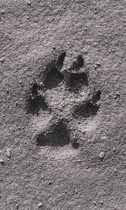 Preview wallpaper footprint, sand, bw, closeup