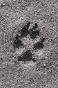 Preview wallpaper footprint, sand, bw, closeup