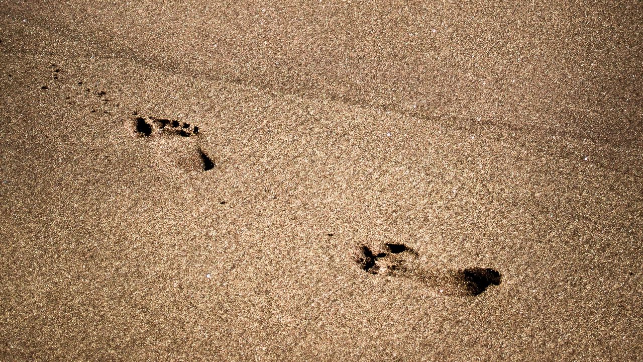 Wallpaper footprints, beach, coast, sand, sea