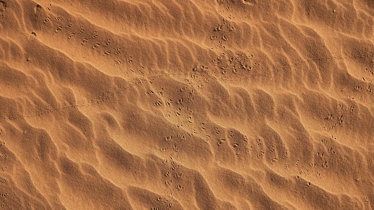 Wallpaper footprints, beach, sand, desert