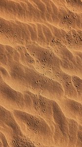 Preview wallpaper footprints, beach, sand, desert
