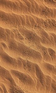 Preview wallpaper footprints, beach, sand, desert