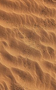 Preview wallpaper footprints, beach, sand, desert