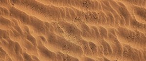 Preview wallpaper footprints, beach, sand, desert