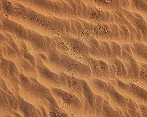 Preview wallpaper footprints, beach, sand, desert