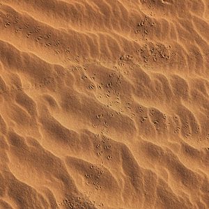 Preview wallpaper footprints, beach, sand, desert