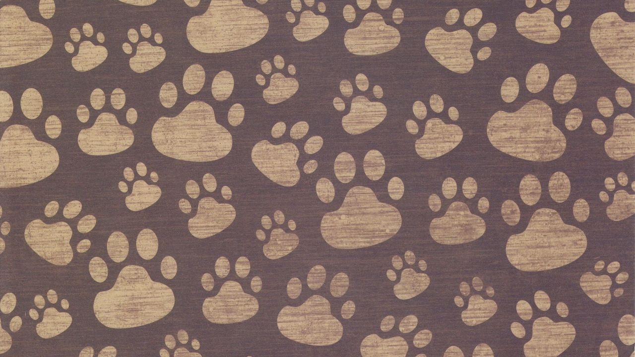 Wallpaper footprints, paw, surface, texture