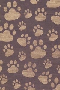 Preview wallpaper footprints, paw, surface, texture