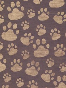 Preview wallpaper footprints, paw, surface, texture