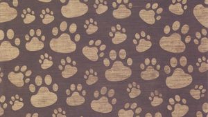 Preview wallpaper footprints, paw, surface, texture