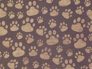 Preview wallpaper footprints, paw, surface, texture
