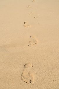 Preview wallpaper footprints, sand, beach