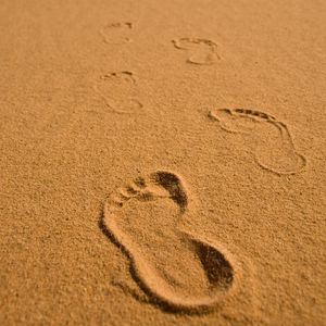 Preview wallpaper footprints, sand, beach, horizon
