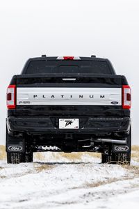 Preview wallpaper ford platinum, ford, car, black, suv, back view