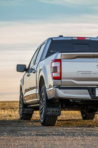 Preview wallpaper ford f150, ford, car, suv, back view