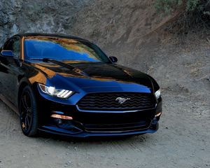 Preview wallpaper ford, mustang, black, front view, sports