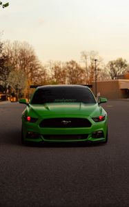 Preview wallpaper ford mustang, car, green, front view