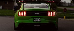 Preview wallpaper ford mustang, car, green, rear view