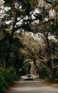 Preview wallpaper ford mustang, car, muscle car, white, road, trees