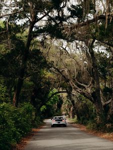 Preview wallpaper ford mustang, car, muscle car, white, road, trees