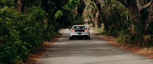 Preview wallpaper ford mustang, car, muscle car, white, road, trees